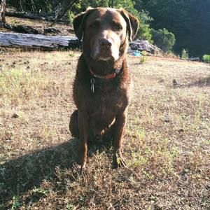 Meet your Posher, Jayme